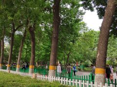 -双榆树公园