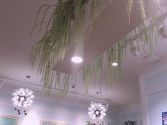 -TOUCH泰奇(金桥长岛路店)