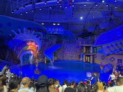 -烟台海昌鲸鲨海洋公园