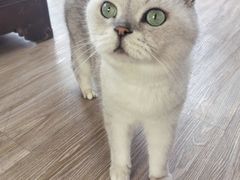 -小时光咖啡馆(北锣鼓巷店)