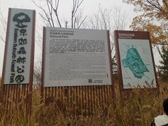 -东郊湿地公园