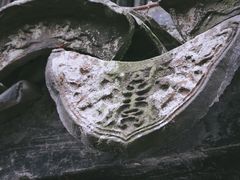 -金泽古镇