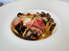 -蝶舍·MAISON PAPILLON