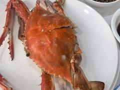 -北塘海鲜·天津菜·鲅鱼水饺是一绝(大光明桥旗舰店)