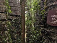 -梭布垭石林景区