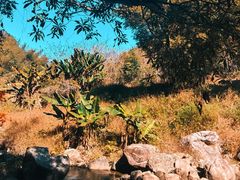 -千泷沟大瀑布旅游区