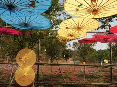 -绵阳盛世樱花悠乐谷