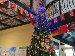 -普兰达德国餐厅·德式脆皮烤猪肘·自酿啤酒(观唐店)