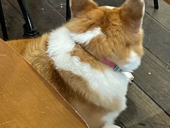 -肥朵食堂(带梦胡同店)