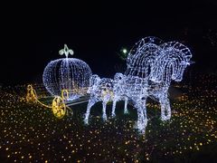 -杭州湾海上花田景区