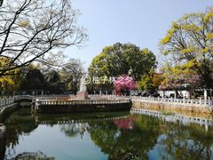 -云南师范大学(一二一西南联大校区)