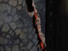 -时光花园(白鹭洲店)