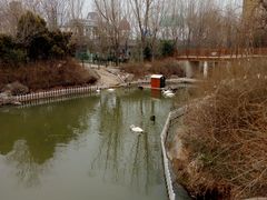 -临沂动植物园