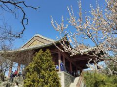 -香山公园