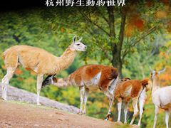 -杭州野生动物世界