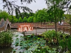 -五缘湾湿地公园