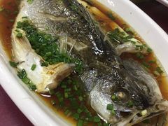 -长兴岛郊野公园农场食堂