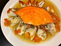 -甄御•海鲜新青岛菜(麦岛店)