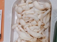 -润园四季椰子鸡火锅(欢乐海岸店)