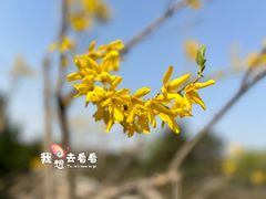 -南海子公园