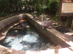 -三亚珠江南田温泉度假区