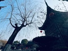 -檀园