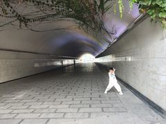 -包整·丝娃娃(一览甲秀楼风景店)