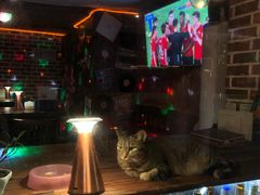 -上海外滩茂悦大酒店