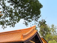 -亭林园-华藏寺