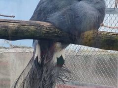 -青藏高原野生动物园