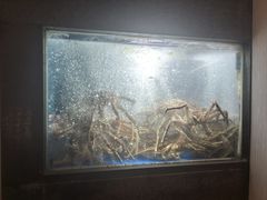 -徐记海鲜(曲江南湖店)