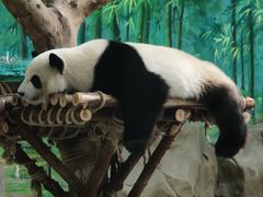 -灵玲国际马戏城