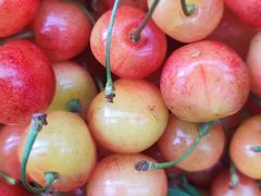 -四季水果蔬菜园(闽江路店)