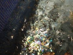 -水晶之星洗浴温泉汗蒸