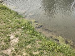 -美兰湖景区