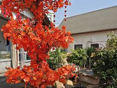 -后湖小院·乡野田园菜