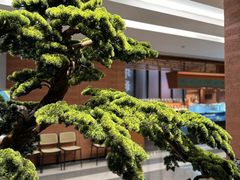 -许爷家·生态湖鲜(徐汇日月光店)