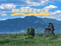 -野鸭湖国家湿地公园