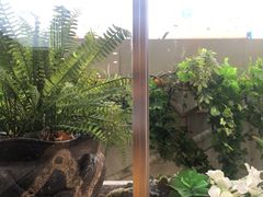 -花漫里日式餐厅(刺桐店)