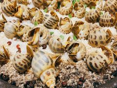 盐焗海螺-北塘海鲜·天津菜(大光明桥旗舰店)
