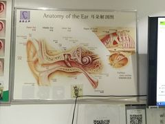 -自然之声助听器·呼吸机(贵定店)