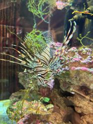 -Zoolung Zoolung动物主题公园(海信广场店)