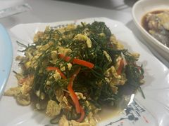 -煲来饱去冷水鱼