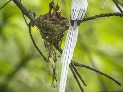 -桤木河湿地公园
