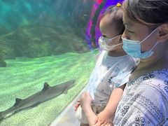 -常州海昌海洋探索馆