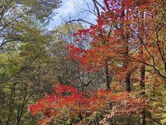 -关门山森林公园