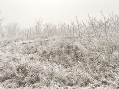 -大平台龙居瀑布旅游区