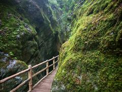 -牛背梁国家森林公园