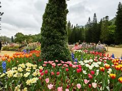 -深圳仙湖植物园