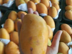 -菜园坝水果市场